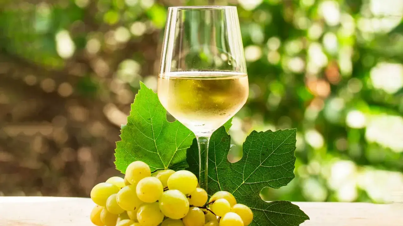 Copa de vino blanco con uvas verdes y hojas de parra.