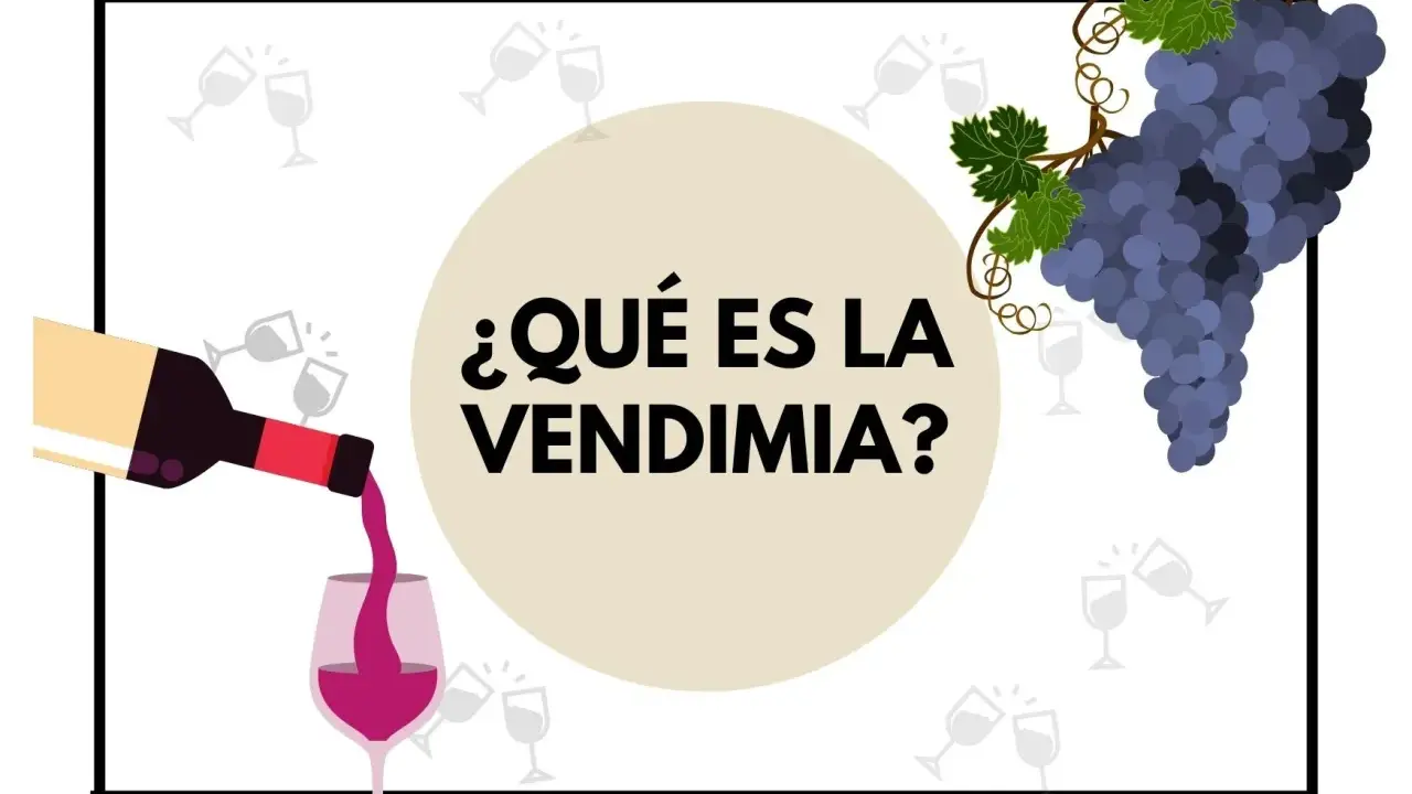 ¿Qué es la vendimia? Una botella vierte vino en una copa, con racimos de uvas y copas de brindis de fondo.