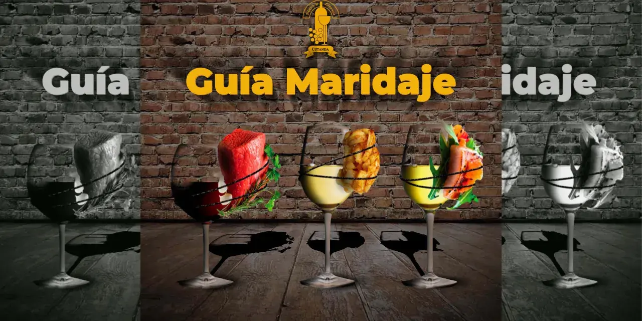Guía de maridaje: un trozo de carne roja con hierbas, papas fritas y salmón con ensalada, acompañados de copas de vino, incluyendo un tempranillo vino.