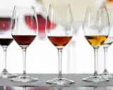 Degustación de vinos: la diferencia entre amontillado y oloroso se aprecia en sus tonos dorados y ámbar en copas.