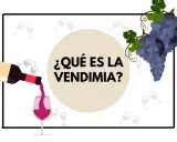 ¿Qué es la vendimia? Una botella vierte vino en una copa, con racimos de uvas y copas de brindis de fondo.