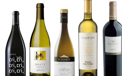Cinco botellas de vino, incluyendo un vino barbastro, con etiquetas variadas.