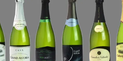 Varias botellas de cava, algunas de ellas de cava mas caro, como Grand Astoria y Canals & Nubiola, con etiquetas de diferentes marcas y tipos.