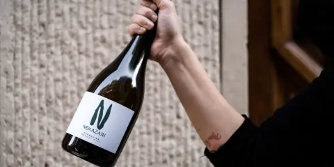 Mano sujeta botella de txakoli tinto Nekazari, con etiqueta blanca y letra "N" verde.