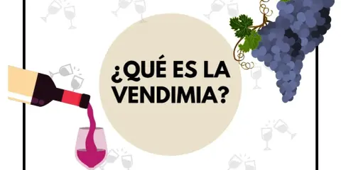 ¿Qué es la vendimia? Una botella vierte vino en una copa, con racimos de uvas y copas de brindis de fondo.