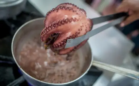 Un pulpo cocido, rosado y con sus tentáculos llenos de ventosas, es retirado de una olla burbujeante con unas pinzas.