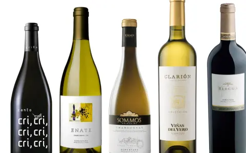 Cinco botellas de vino, incluyendo un vino barbastro, con etiquetas variadas.