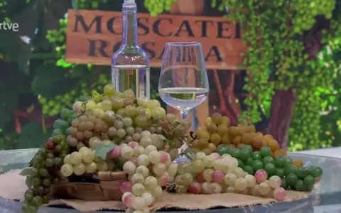 Uvas y vino blanco, ideal para saber si un vino es dulce.