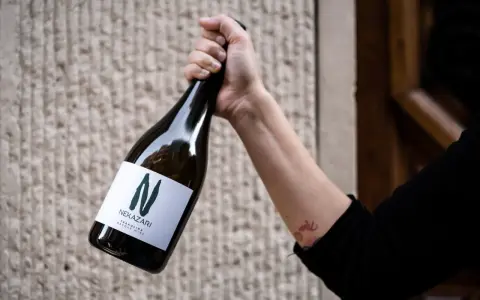 Mano sujeta botella de txakoli tinto Nekazari, con etiqueta blanca y letra "N" verde.