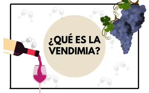 ¿Qué es la vendimia? Una botella vierte vino en una copa, con racimos de uvas y copas de brindis de fondo.