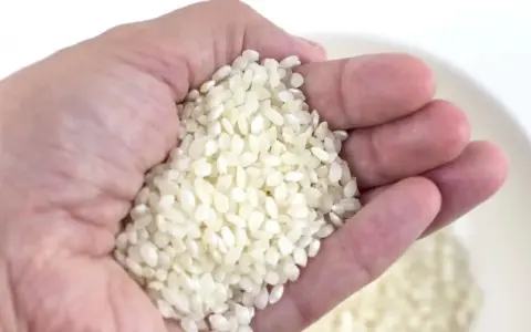 Mano sosteniendo arroz, una medida aproximada de cuanto arroz por persona para una comida deliciosa.
