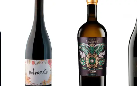 Botellas de vino, una con etiqueta "Volvoreta" y otra con diseño floral y texto "Toro Verdejo".