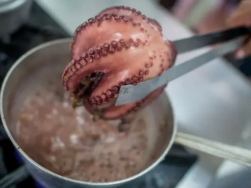 Un pulpo cocido, rosado y con sus tentáculos llenos de ventosas, es retirado de una olla burbujeante con unas pinzas.