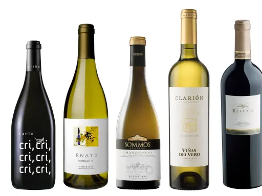 Cinco botellas de vino, incluyendo un vino barbastro, con etiquetas variadas.
