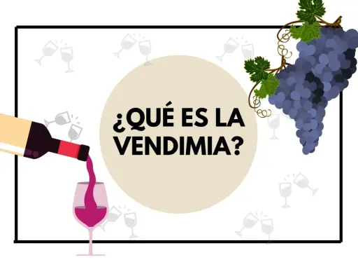 ¿Qué es la vendimia? Una botella vierte vino en una copa, con racimos de uvas y copas de brindis de fondo.