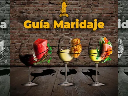 Guía de maridaje: un trozo de carne roja con hierbas, papas fritas y salmón con ensalada, acompañados de copas de vino, incluyendo un tempranillo vino.