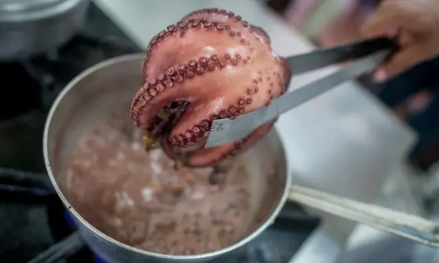 Un pulpo cocido, rosado y con sus tentáculos llenos de ventosas, es retirado de una olla burbujeante con unas pinzas.