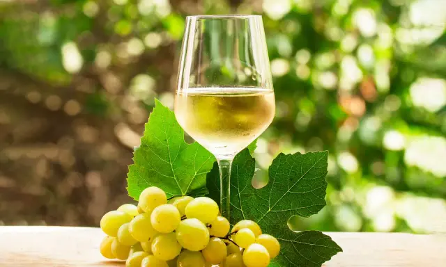 Copa de vino blanco con uvas verdes y hojas de parra.