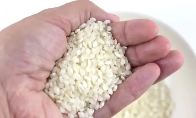 Mano sosteniendo arroz, una medida aproximada de cuanto arroz por persona para una comida deliciosa.