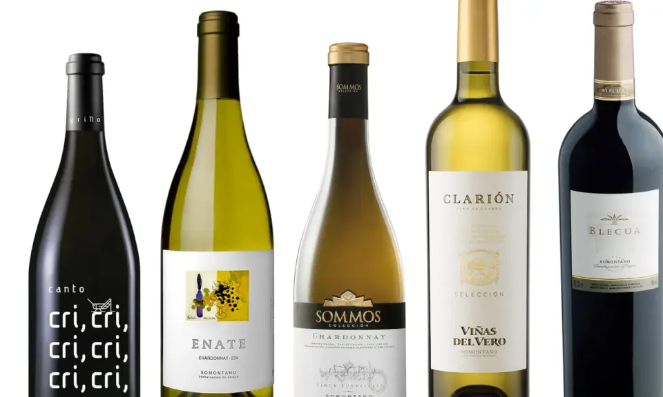 Cinco botellas de vino, incluyendo un vino barbastro, con etiquetas variadas.