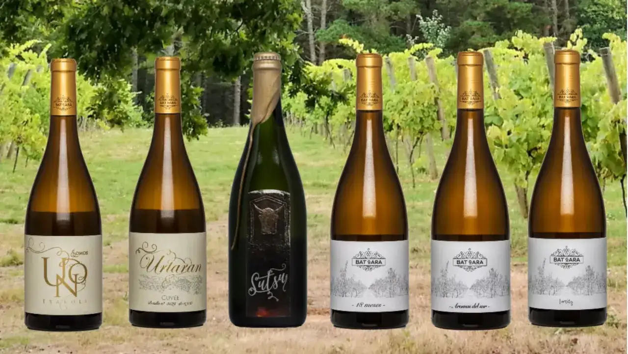 Seis botellas de vino blanco, algunas con etiquetas que dicen 