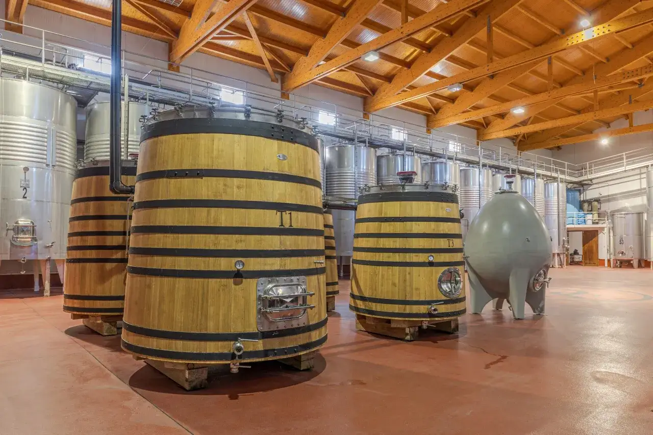 Grandes tinajas de madera y depósitos de acero inoxidable en una bodega. El vino blanco fermentado en barrica reposa en estas instalaciones.