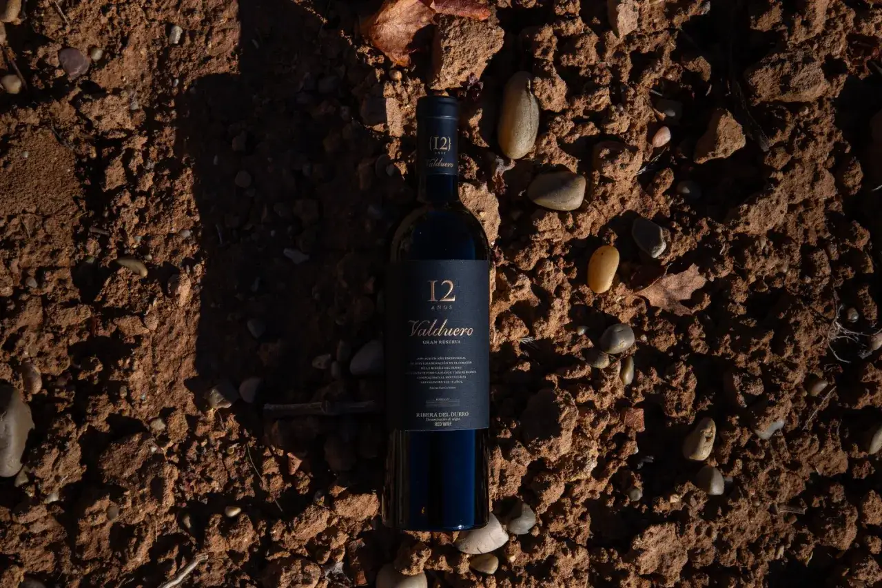 Botella de vino Valduero Gran Reserva 12 A&ntilde;os, un tesoro entre tierra y piedras, evocando la calidad de los vinos caros.