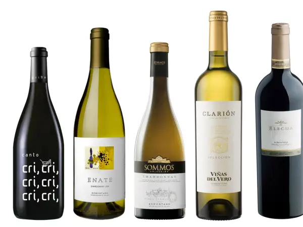 Cinco botellas de vino, incluyendo un vino barbastro, con etiquetas variadas.