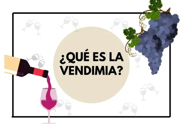 ¿Qué es la vendimia? Una botella vierte vino en una copa, con racimos de uvas y copas de brindis de fondo.
